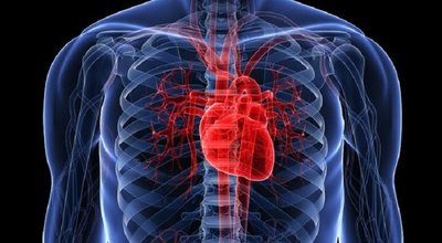 بیماری قلب