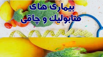 photo_2025-11-10_21-57-01