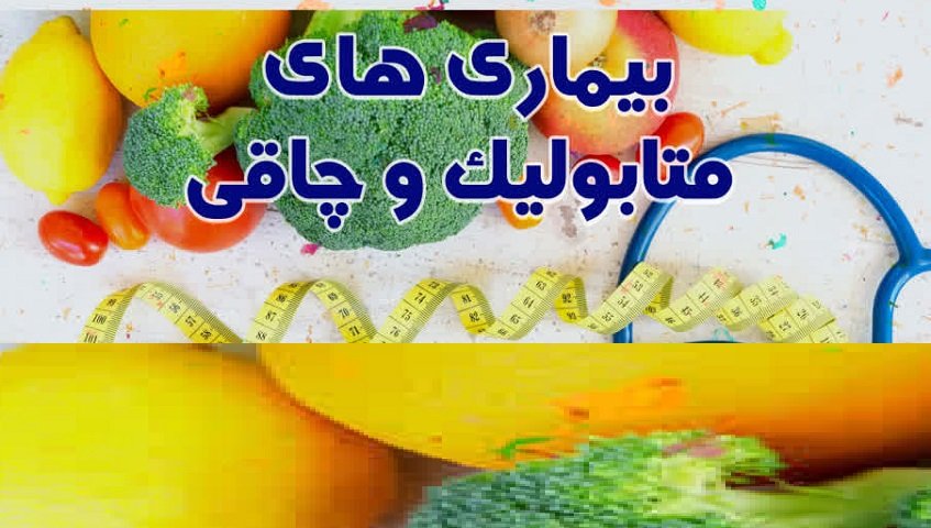 photo_2025-11-10_21-57-01